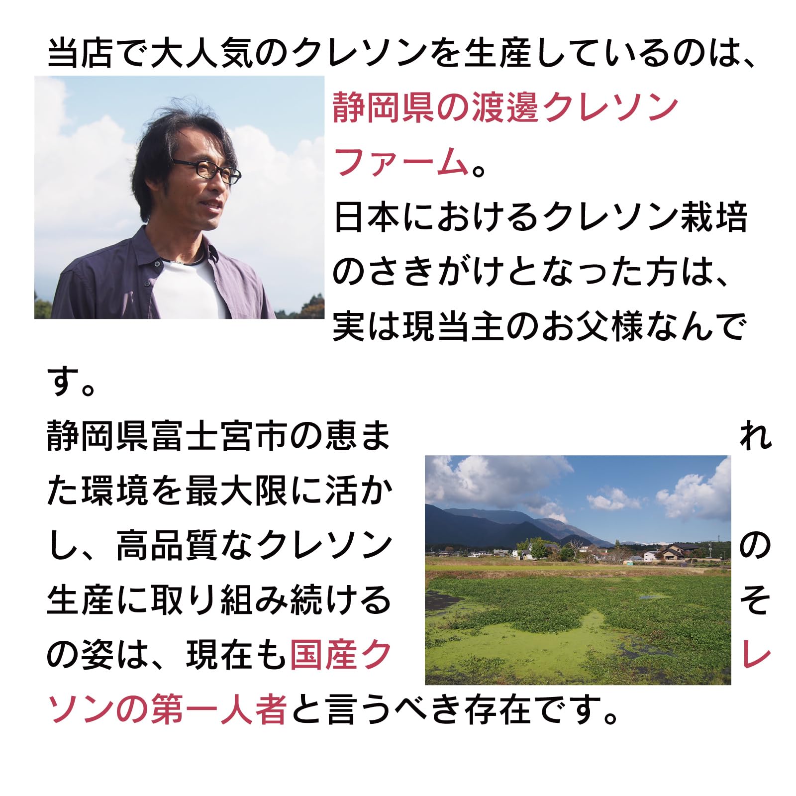 Amazon.co.jp: ベジタブルハート クレソン 静岡県産 無農薬栽培 100g